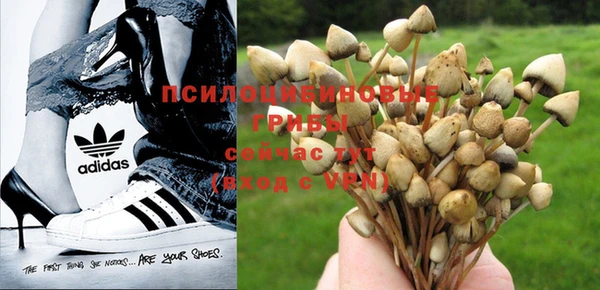 COCAINE Переславль-Залесский