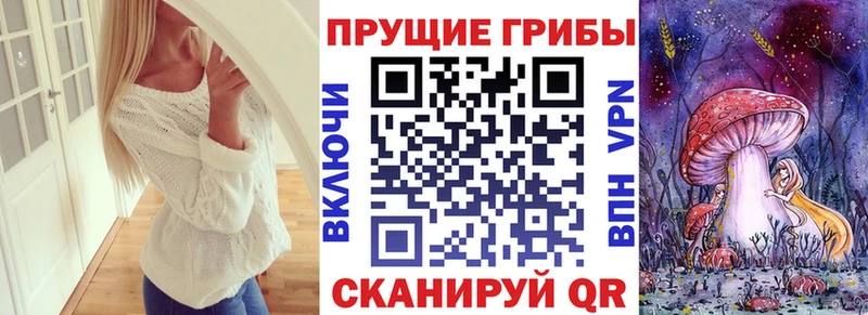 купить наркоту  Верхотурье  Галлюциногенные грибы Magic Shrooms 